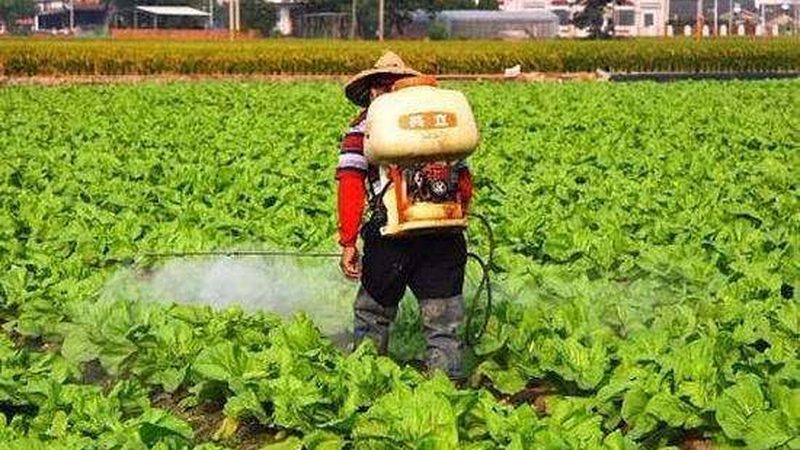 企业食堂水果蔬菜配送流程全解析