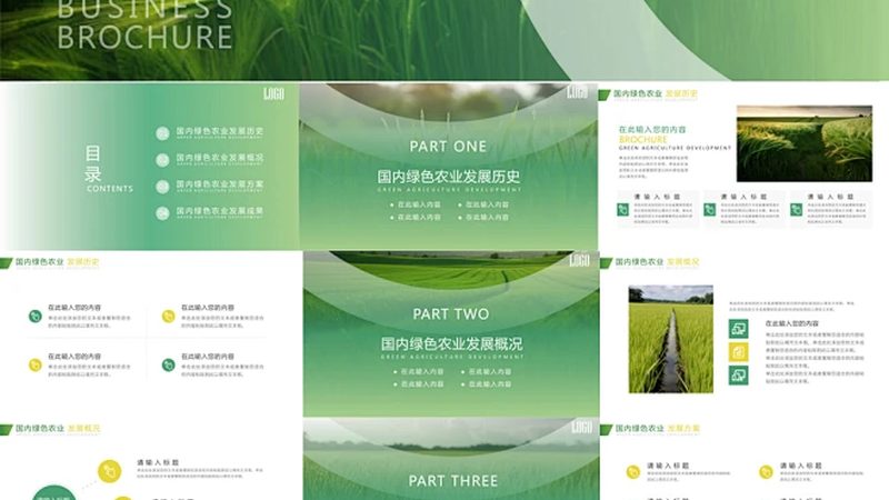 2025年有机蔬菜价格走势：趋势与影响因素分析